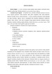 Burnos higiena konspektas