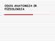 Odos anatomija ir fiziologija