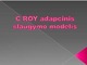 C roy adapcinis slaugymo modelis