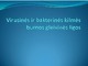 Virusinės ir bakterinės kilmės burnos gleivinės ligos