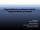 Pagrindiniai muzikanto darbo ergonomikos principai