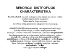 Bendroji distrofijos charakteristika 1