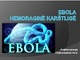 Ebola hemoraginė karštligė