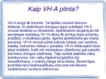 Hepatitas A skaidrės 3