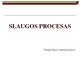 Slaugos procesas