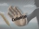 Celiakija skaidrės