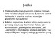 Bendruomenės slauga skaidrės