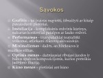 Lietuvos menas projektas 3