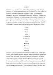 Šimtadienio renginio organizavimas 2