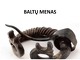 Baltų menas skaidrės