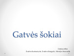 Gatvės šokiai prezentacija 1