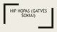 Gatvės šokiai: Hip Hopas
