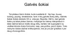 Šokių žanrai, gatvės šokiai 2