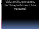 Viduramžių, renesanso, baroko epochos muzikos ypatumai
