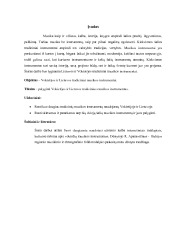 Lietuvos ir Vokietijos tradiciniai muzikos instrumentai 1
