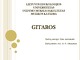 Muzikos instrumentas: gitara
