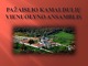 Pažaislio vienuolyno ansamblis