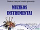 Muzikos instrumentai prezentacija