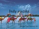 Indų muzika skaidrės