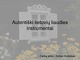 Autentiški lietuvių laudies instrumentai