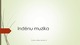 Indėnų muzika 