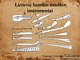  Lietuvių liaudies muzikos instrumentai 