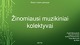 Žinomiausi muzikiniai kolektyvai