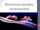 Klavišiniai muzikos instrumentai projektas 