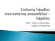 Lietuvių liaudies instrumentų ansambliai - kapelos