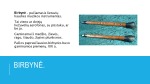 Lietuvių liaudies instrumentai pristatymas 2
