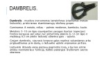 Lietuvių liaudies instrumentai pristatymas 3