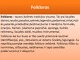 Folkloras skaidrės