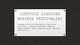 Lietuvių liaudies muzikos festivaliai