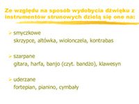 Instrumenty strunowe 3