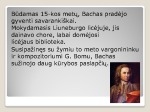 Bachas skaidrės (2) 3