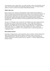Johanas Sebastianas Bachas. Biografija. Kūryba 3