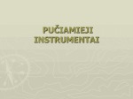 Senoviniai lietuvių liaudies instrumentai 3