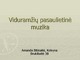 Viduramžių pasaulietinė muzika