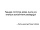 Socialinio pedagogo darbas