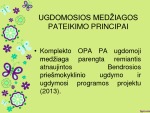 Priešmokyklinio ugdymo programos pristatymas 3