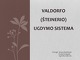 Valdorfo Šteinerio ugdymo sistema