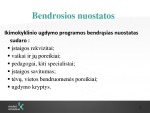 Darželio analizės skaidrės 1