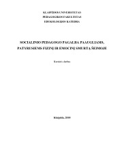 Socialinio pedagogo pagalba paaugliams, patyrusiems fizinį ir emocinį smurtą šeimoje 1