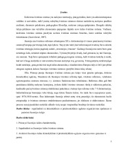 Ikimokyklinio ir priešmokyklinio ugdymo organizavimas ir patirtis Suomijos šalyje 3