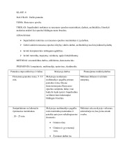 Dailės pamokos planas 1
