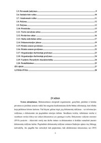 Lopšelio-darželio apibūdinimas ir veiklos dokumentai 2