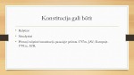 Lietuvos Respublikos Konstitucijos 3