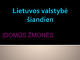 Lietuvos valstybė šiandien 