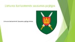 Lietuvos kariuomenė 3