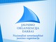 Nevyriausybinė jaunimo organizacija